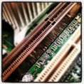 /album/fenykepgaleria/makro-elektr-jpg/